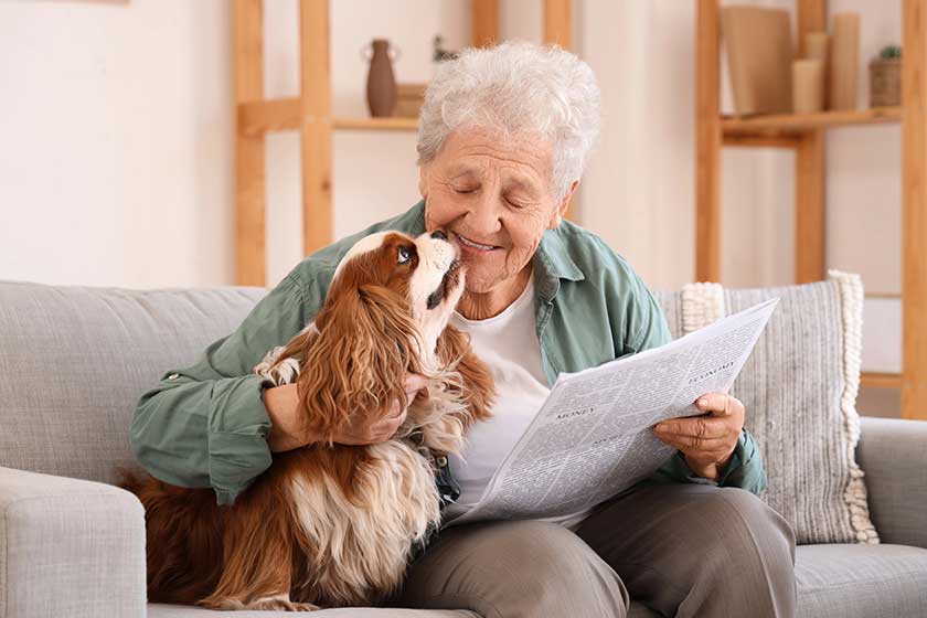 A Guide To Pet-Friendly Assisted Living